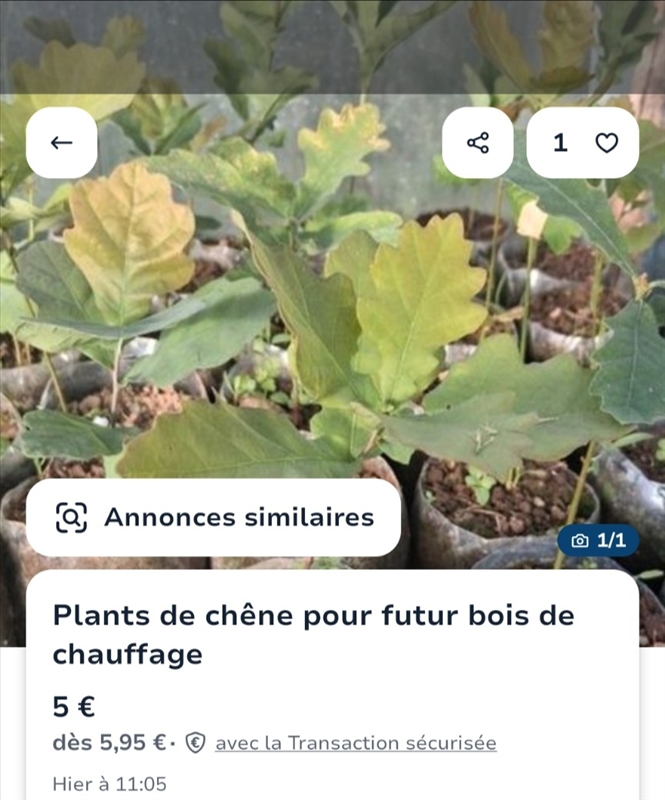https://rehost.diberie.com/Picture/Get/r/511181