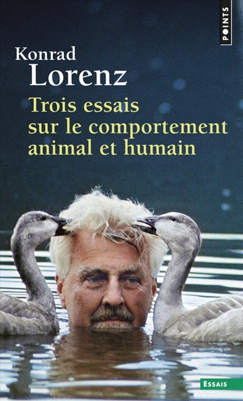 https://rehost.diberie.com/Picture/Get/r/511345