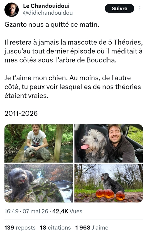 https://rehost.diberie.com/Picture/Get/r/512408