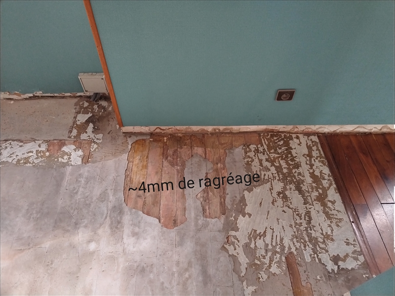 https://rehost.diberie.com/Picture/Get/r/512622