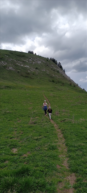 https://rehost.diberie.com/Picture/Get/r/513298