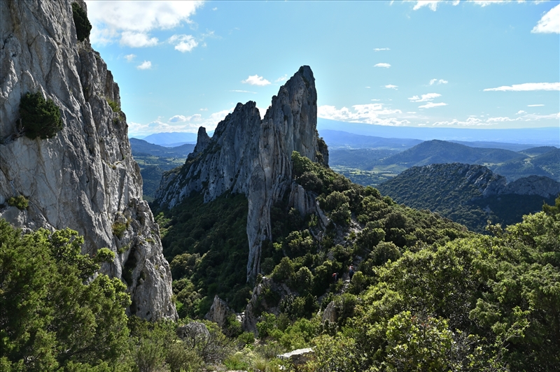 https://rehost.diberie.com/Picture/Get/r/514752