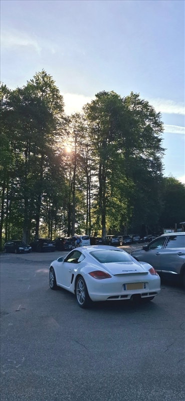 https://rehost.diberie.com/Picture/Get/r/516573