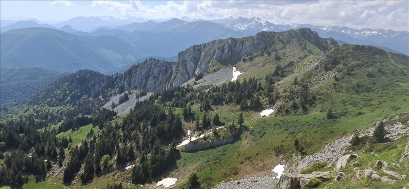 https://rehost.diberie.com/Picture/Get/r/516574