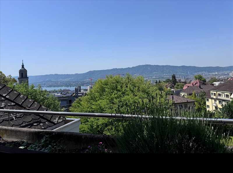 https://rehost.diberie.com/Picture/Get/r/517815