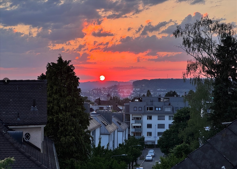 https://rehost.diberie.com/Picture/Get/r/517816