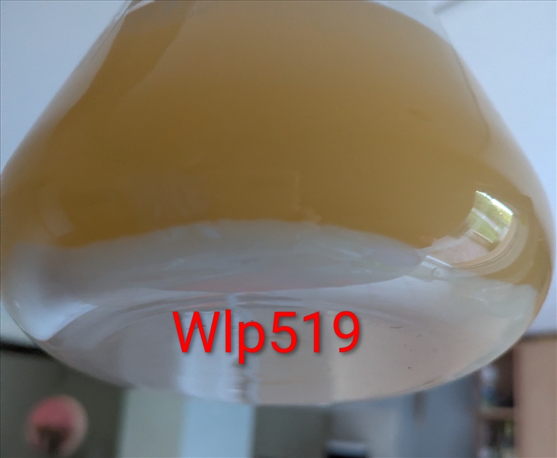 https://rehost.diberie.com/Picture/Get/r/517838