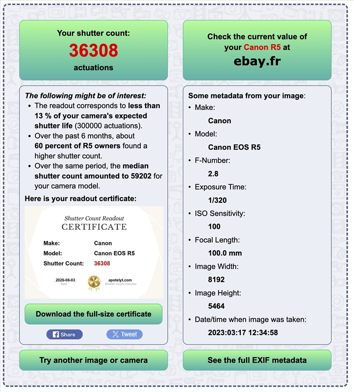 https://rehost.diberie.com/Picture/Get/r/518929