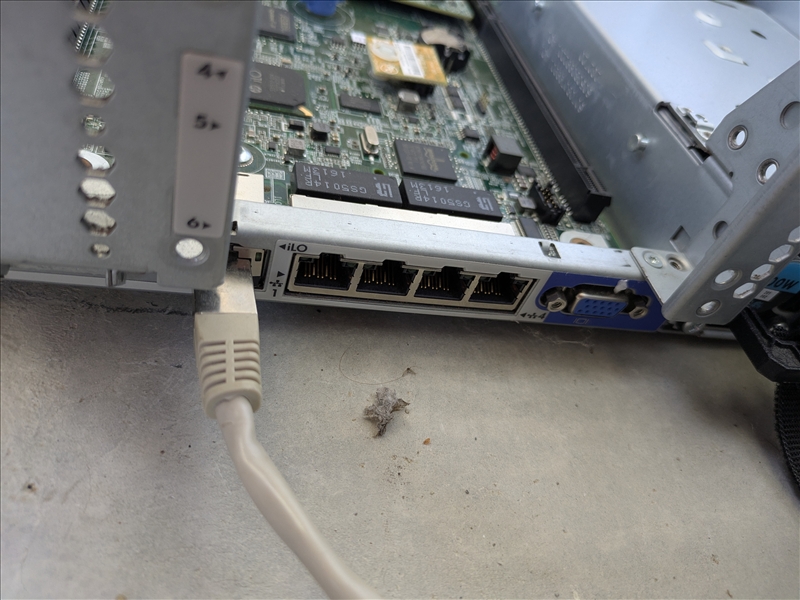https://rehost.diberie.com/Picture/Get/r/519678