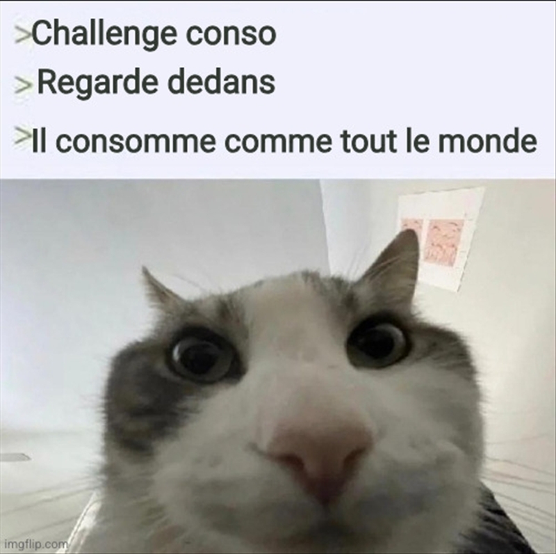 https://rehost.diberie.com/Picture/Get/r/520003