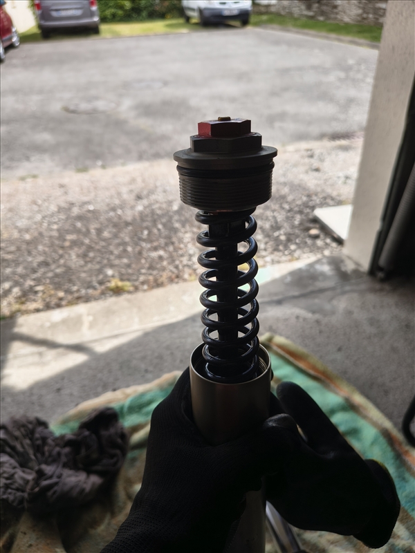 https://rehost.diberie.com/Picture/Get/r/521721