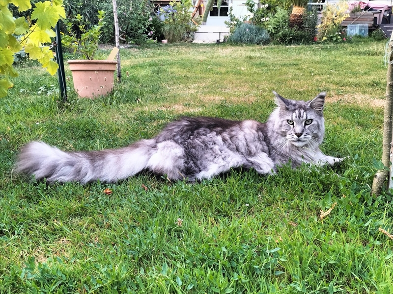 https://rehost.diberie.com/Picture/Get/r/523612