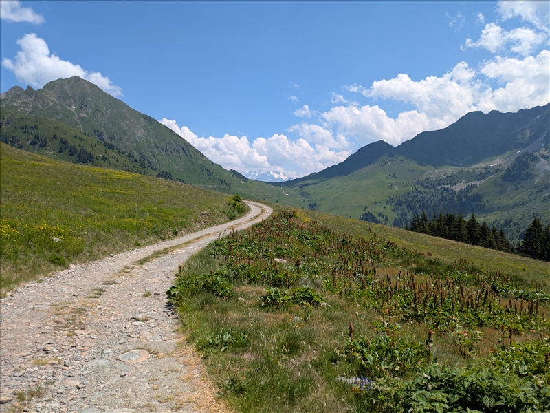 https://rehost.diberie.com/Picture/Get/r/525610