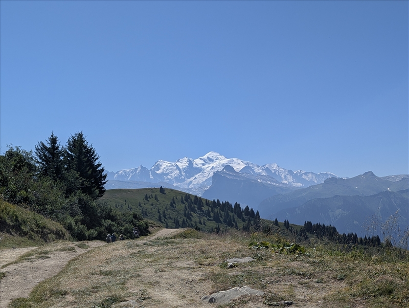 https://rehost.diberie.com/Picture/Get/r/528045