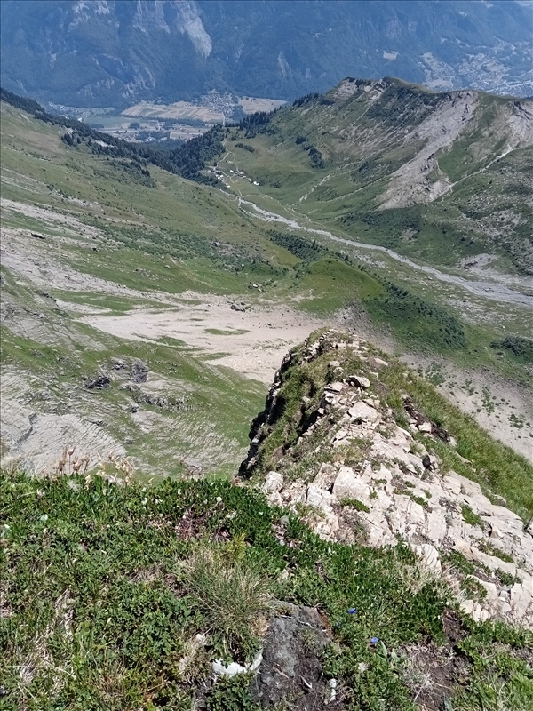 https://rehost.diberie.com/Picture/Get/r/529330