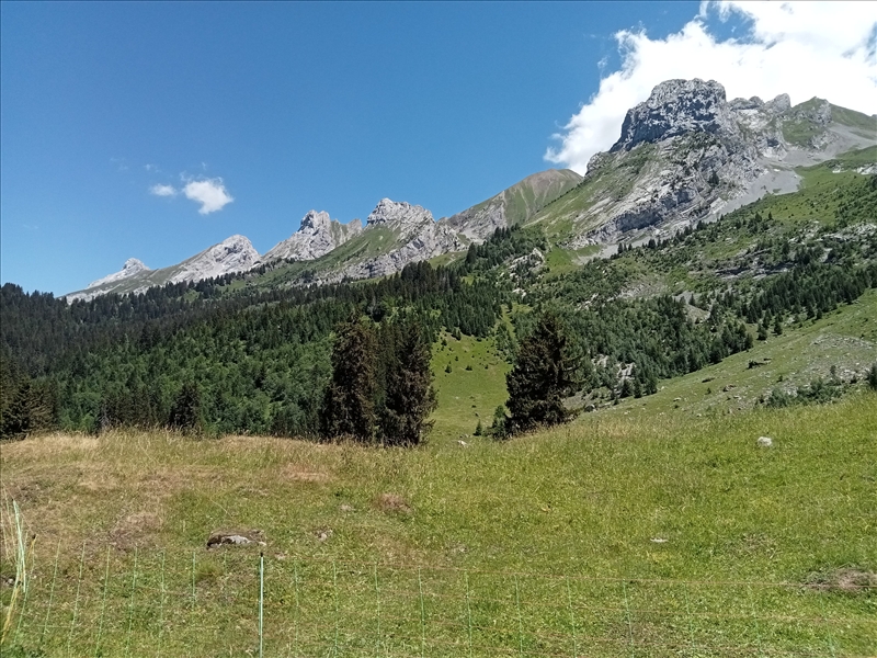 https://rehost.diberie.com/Picture/Get/r/529338