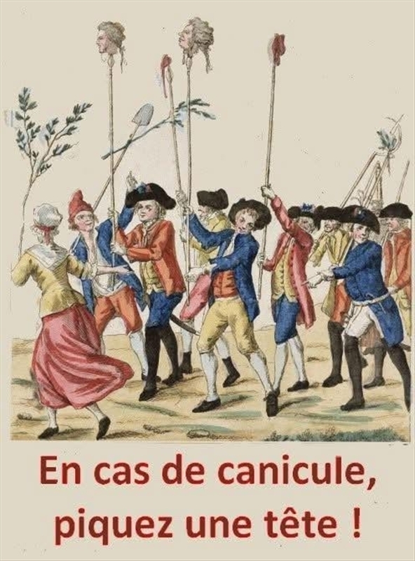 Image redimensionnée
