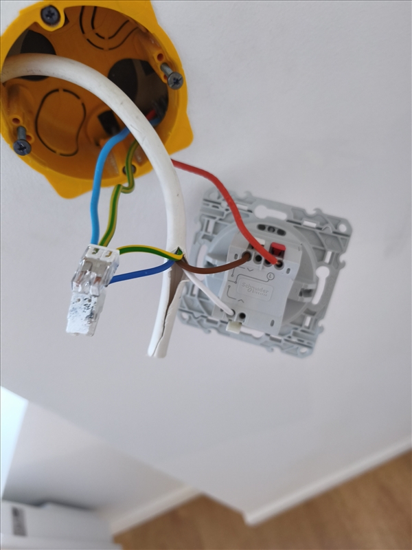 https://rehost.diberie.com/Picture/Get/r/529859