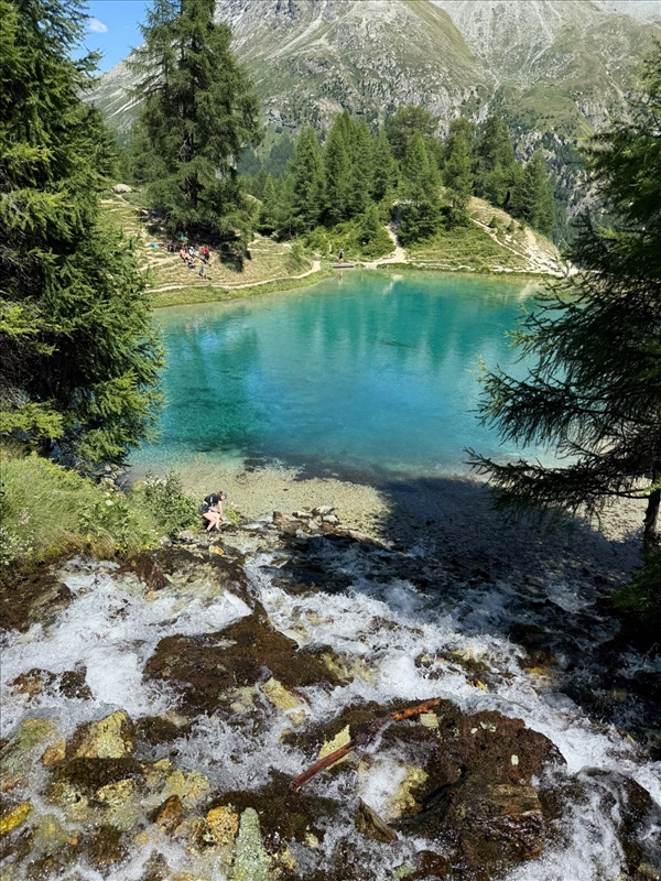 https://rehost.diberie.com/Picture/Get/r/530157