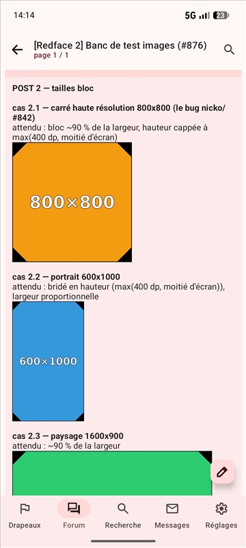 https://rehost.diberie.com/Picture/Get/r/530360