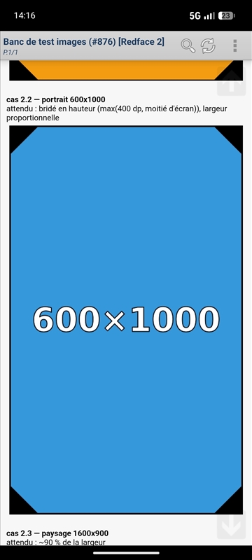 https://rehost.diberie.com/Picture/Get/r/530361