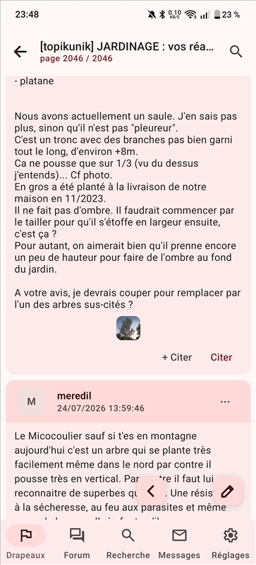 https://rehost.diberie.com/Picture/Get/r/531843