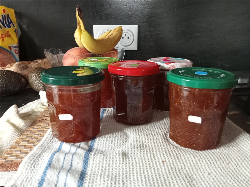 https://rehost.diberie.com/Picture/Get/r/531947