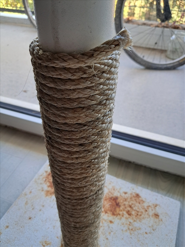 https://rehost.diberie.com/Picture/Get/r/532395