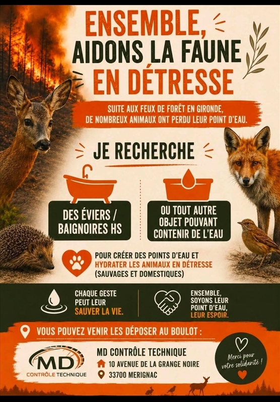 https://rehost.diberie.com/Picture/Get/r/533114