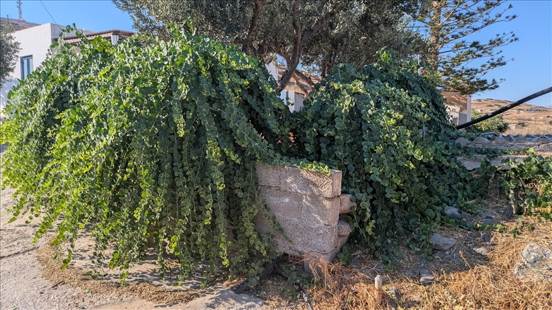 https://rehost.diberie.com/Picture/Get/r/534766