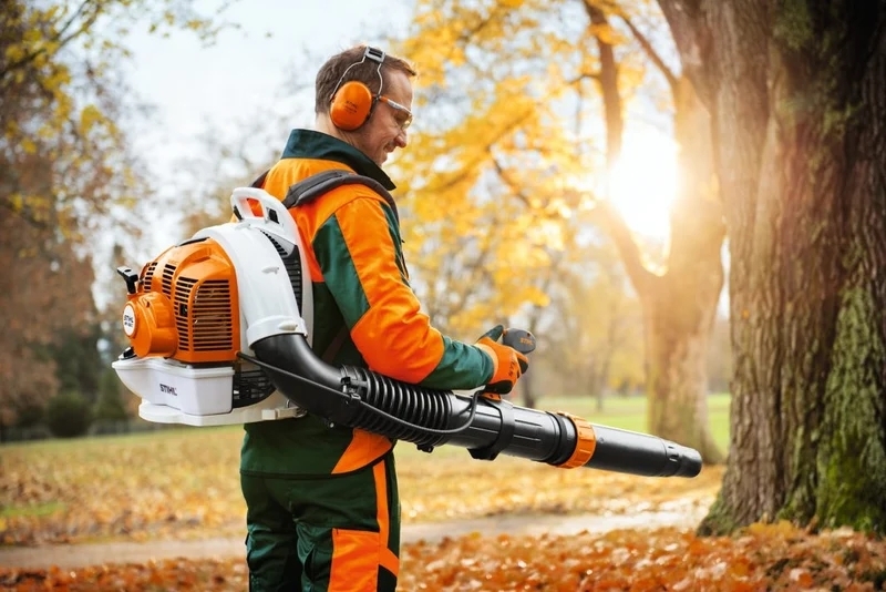 https://rehost.diberie.com/Picture/Get/r/535578