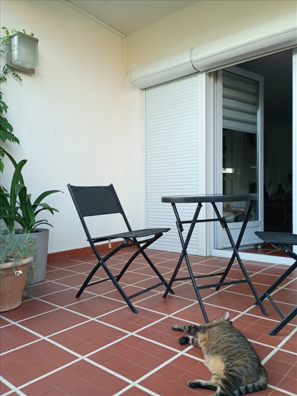 https://rehost.diberie.com/Picture/Get/r/535705