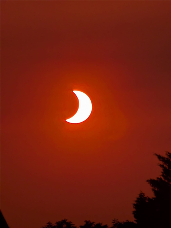 https://rehost.diberie.com/Picture/Get/r/535720