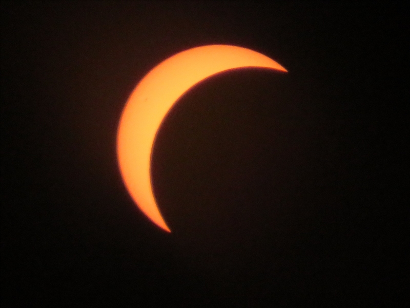 https://rehost.diberie.com/Picture/Get/r/535732