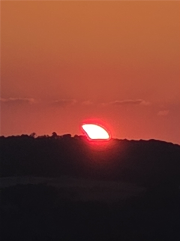 https://rehost.diberie.com/Picture/Get/r/535876
