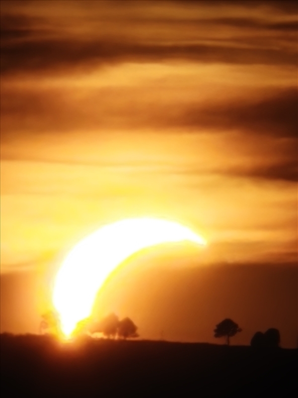 https://rehost.diberie.com/Picture/Get/r/536528