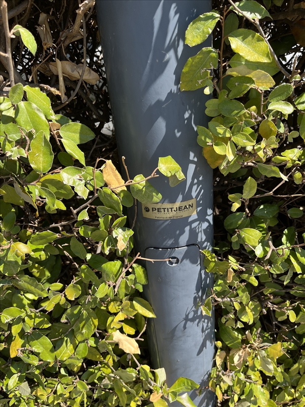 https://rehost.diberie.com/Picture/Get/r/537828