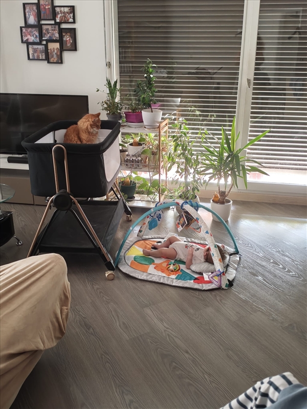 https://rehost.diberie.com/Picture/Get/r/538484