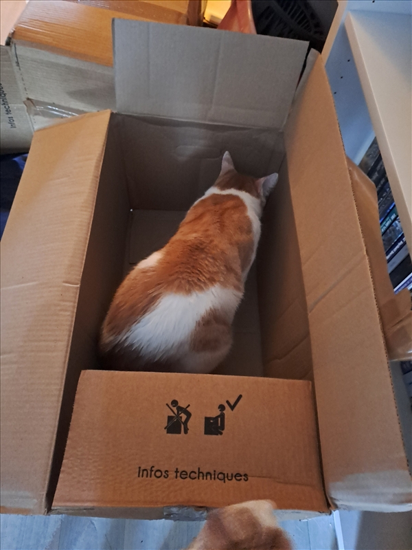 https://rehost.diberie.com/Picture/Get/r/540422