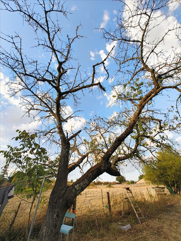 https://rehost.diberie.com/Picture/Get/r/542086