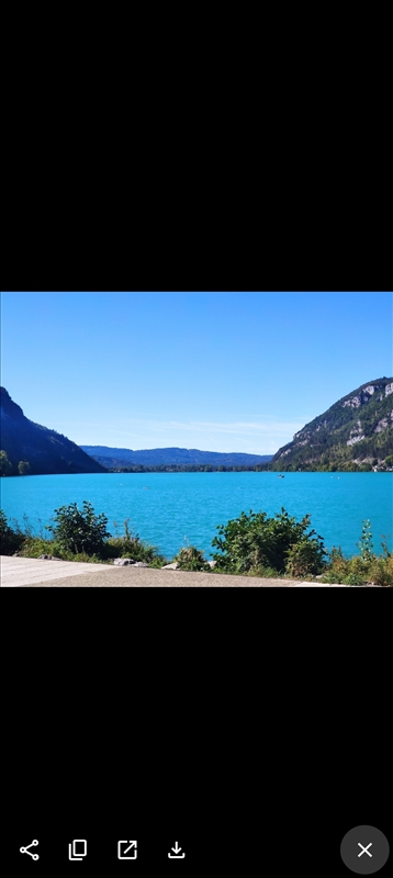 https://rehost.diberie.com/Picture/Get/r/543698