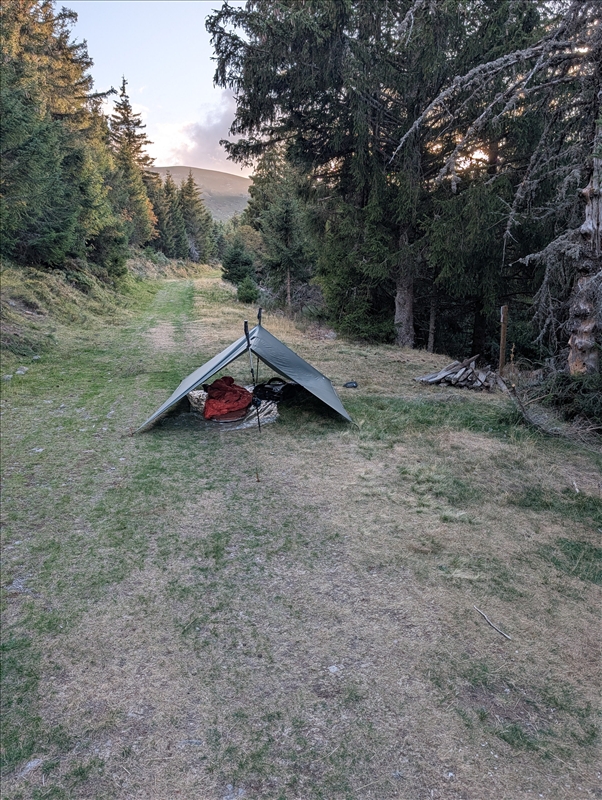 https://rehost.diberie.com/Picture/Get/r/545215