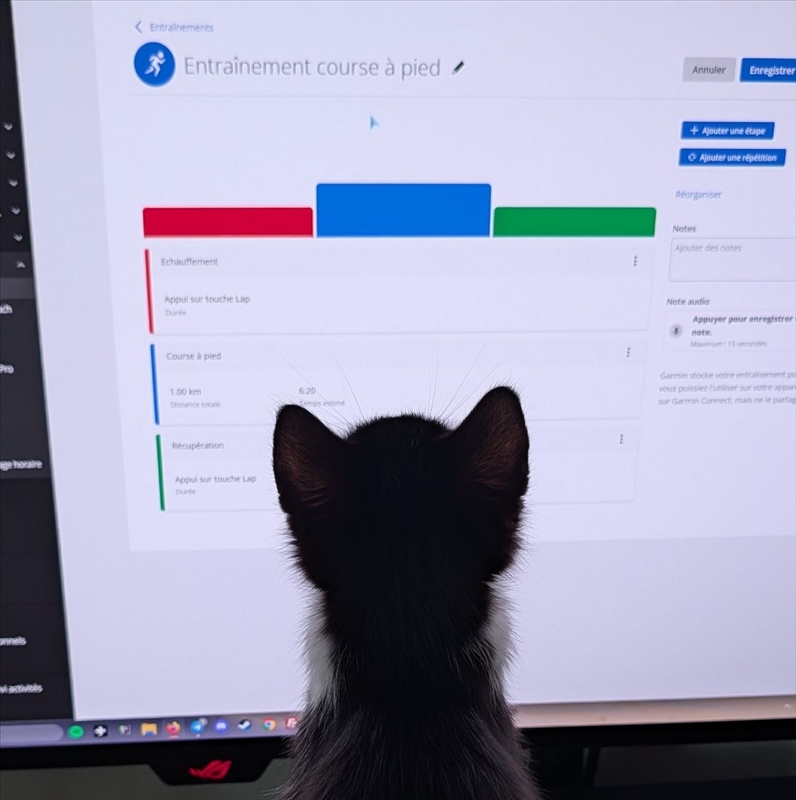 https://rehost.diberie.com/Picture/Get/r/547710