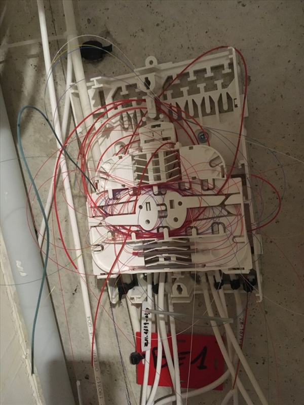 https://rehost.diberie.com/Picture/Get/r/57388