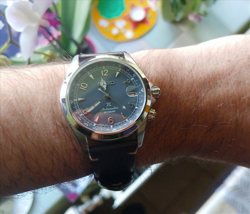 Feu de Seiko Alpinist - Page 20 59457