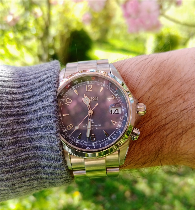 Feu de Seiko Alpinist - Page 23 69586