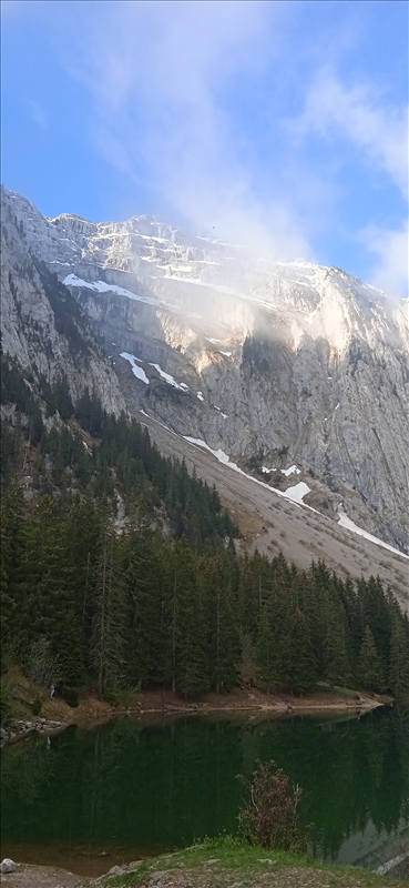 https://rehost.diberie.com/Picture/Get/r/72396