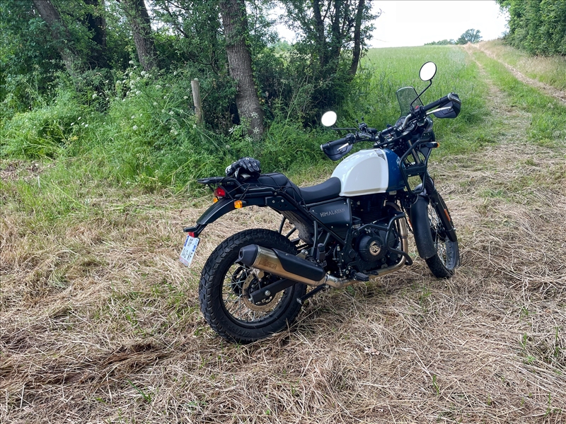 Mon Himalayan 73768