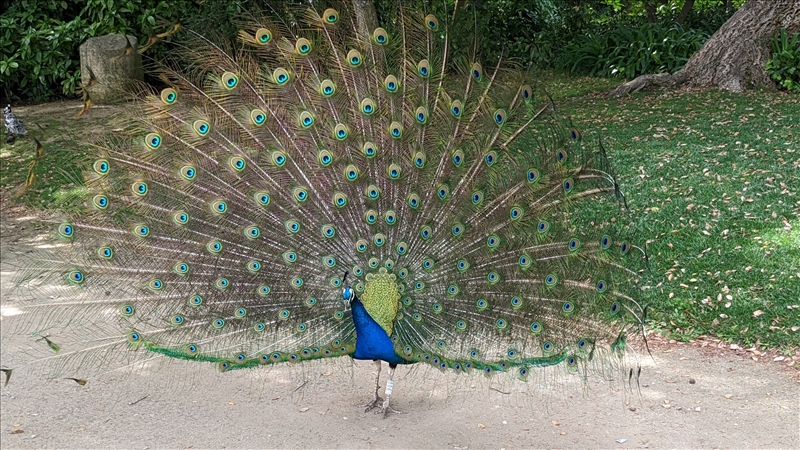 https://rehost.diberie.com/Picture/Get/r/75834