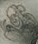 https://rehost.diberie.com/Picture/Get/t/154393